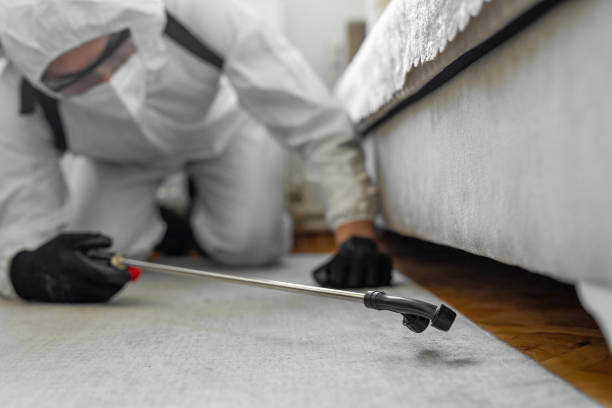 Professional Bed Bug Control technician working in Circle Pines, MN