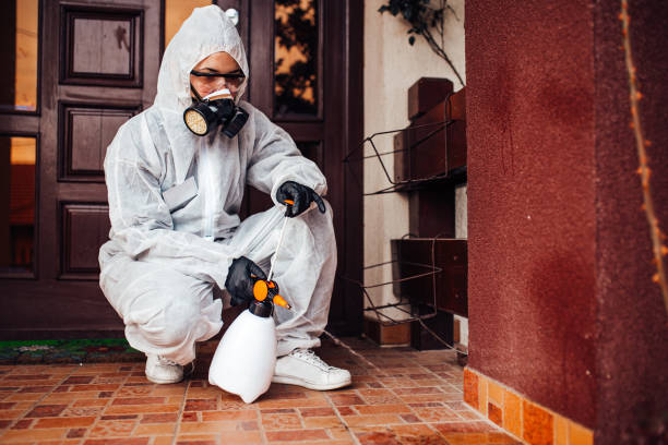 Reliable Bed Bug Control contractor in Circle Pines, MN by Nex Pest Control